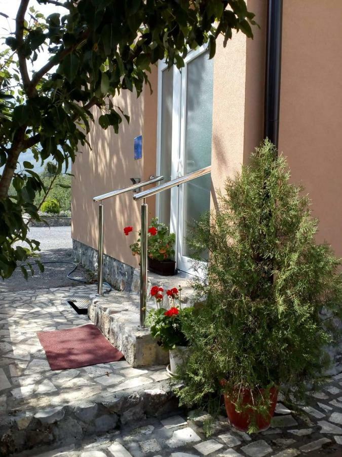 Apartman Toni Gračac エクステリア 写真